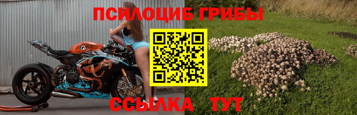 Галлюциногенные грибы мухоморы  Вход с VPN  Нижний Новгород 