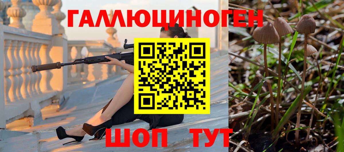 Бошки Шишки  Кокаин  Меф МЯУ МЯУ   Меф МЯУ МЯУ  Гашиш  Нижний Новгород  Вход с VPN  Альфа ПВП СОЛЬ  